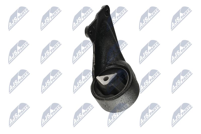 Paigutus, Mootor, NTY ZPS-CH-004