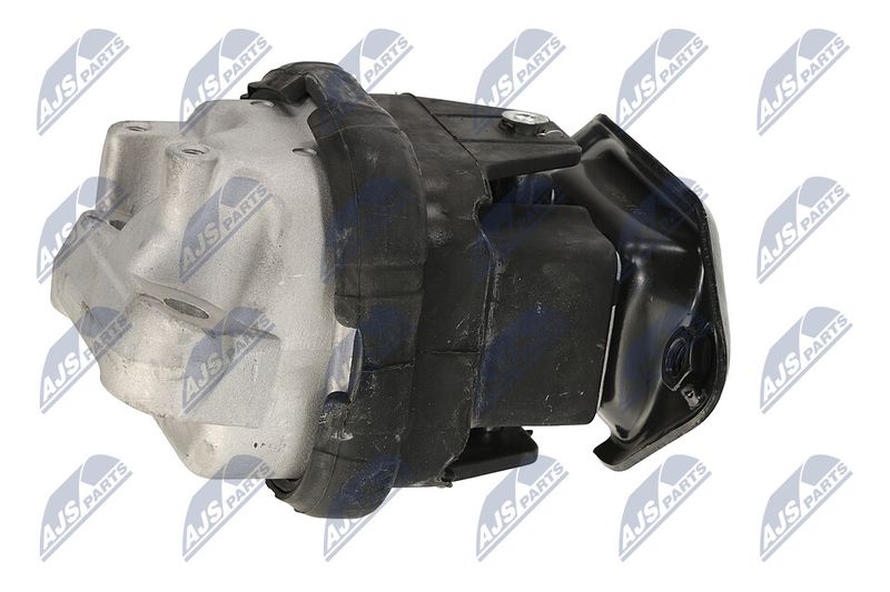 Paigutus, Mootor, NTY ZPS-CH-116