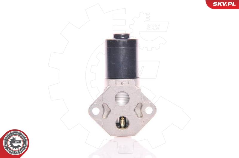 ESEN SKV 08SKV222 Idle Control Valve, air supply