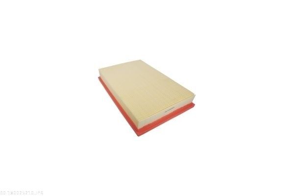 AUTOMEGA 180025210 Air Filter