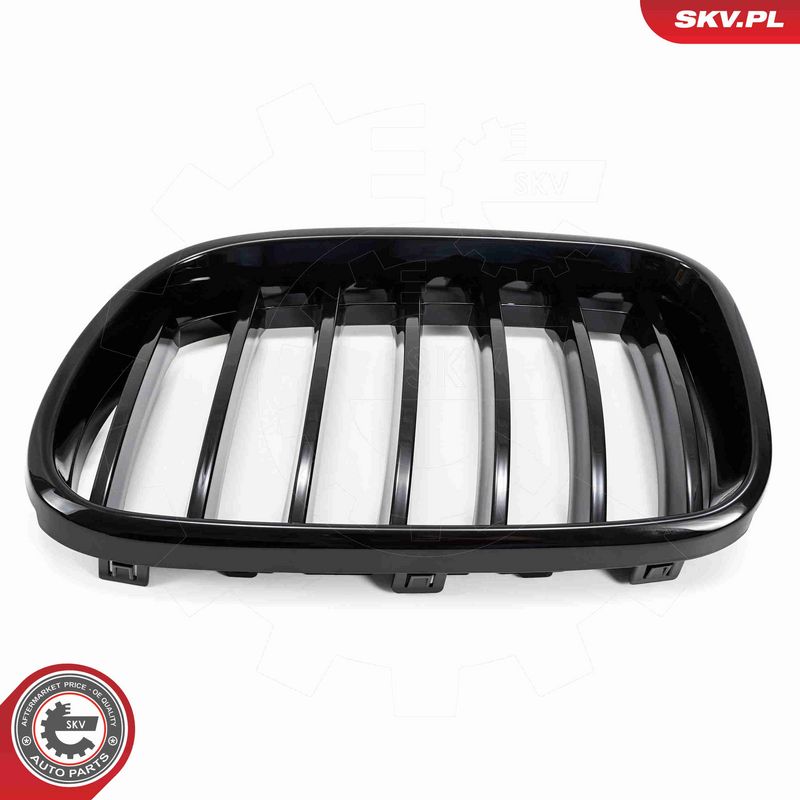 ESEN SKV 66SKV248 Radiator Grille