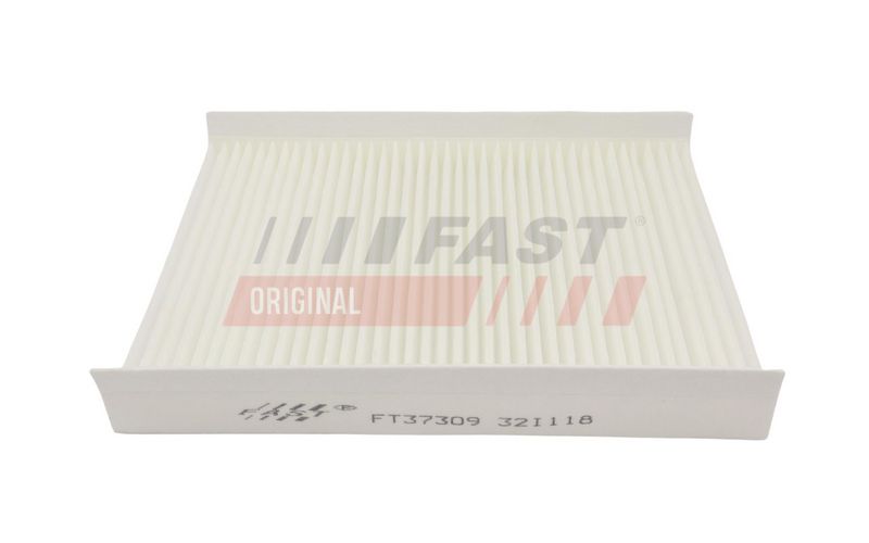 FAST FT37309 Salono filtras