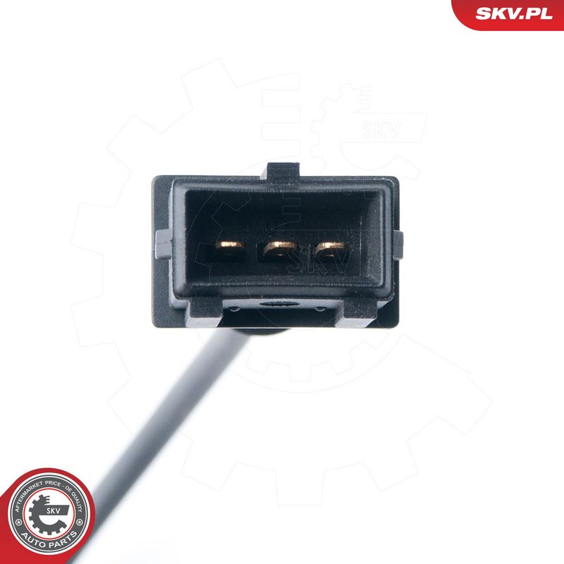 Andur, väntvõll, ESEN SKV 17SKV263