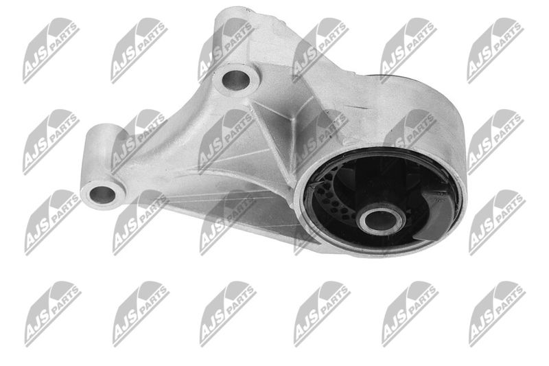 Paigutus, Mootor, NTY ZPS-PL-069