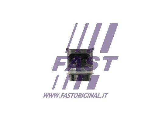 FT76020_2_1.JPG