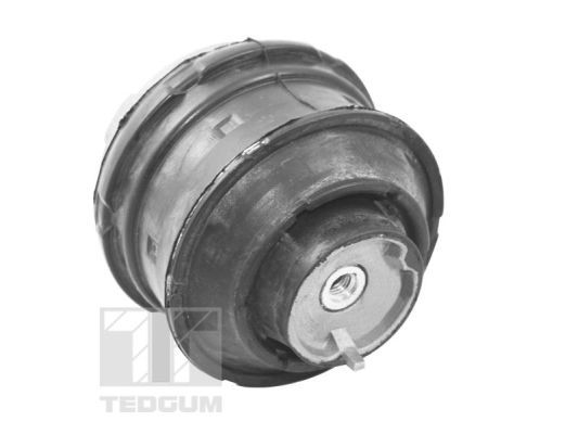 TED72237_#1.JPG