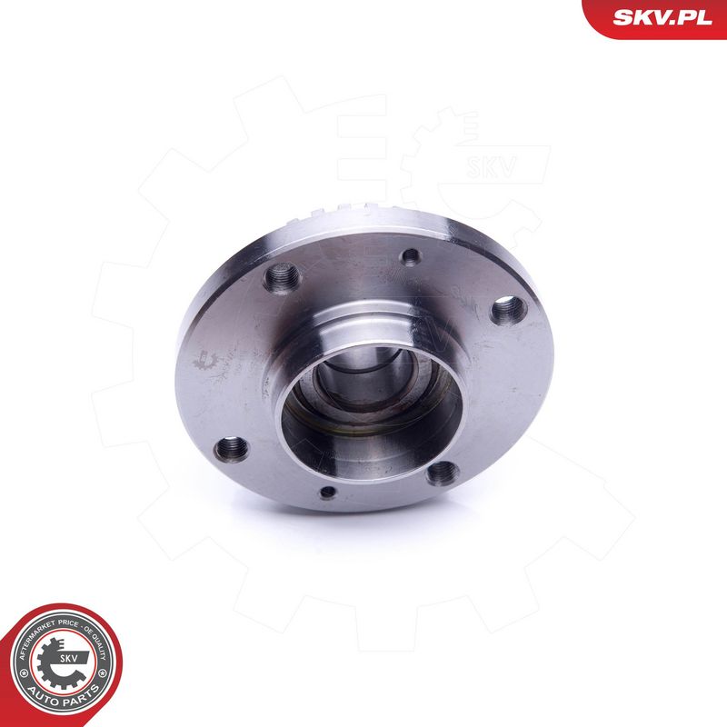 Rattalaagrikomplekt, ESEN SKV 29SKV201