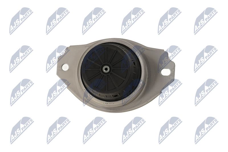 Paigutus, Mootor, NTY ZPS-LR-017