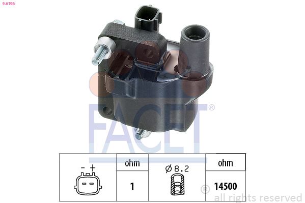 9.6196-FA.JPG