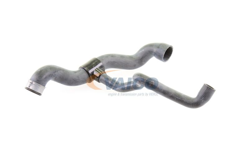 VAICO V30-1660 Radiator Hose