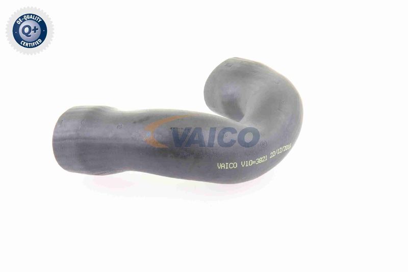 VAICO V10-3821 Charge Air Hose