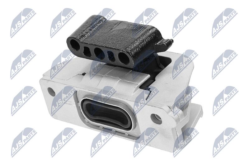 Paigutus, Mootor, NTY ZPS-CH-103