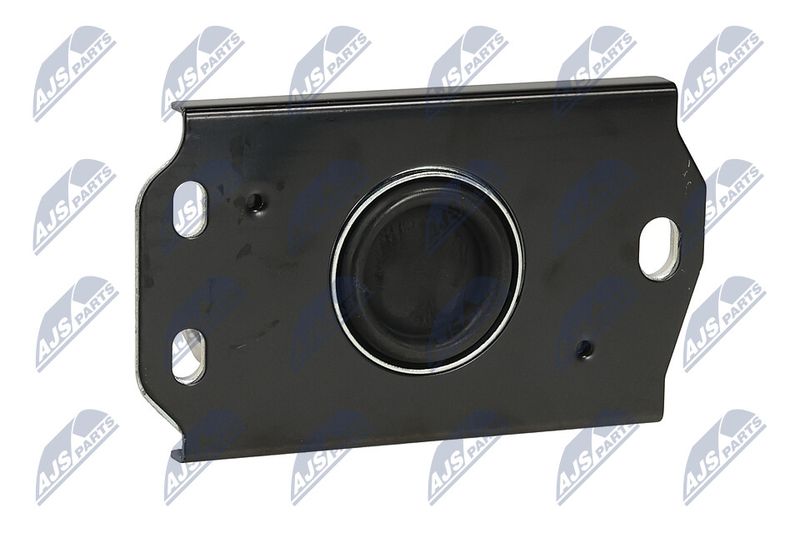 Paigutus, Mootor, NTY ZPS-PL-087