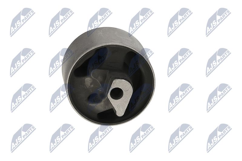 Paigutus, Mootor, NTY ZPS-CH-040