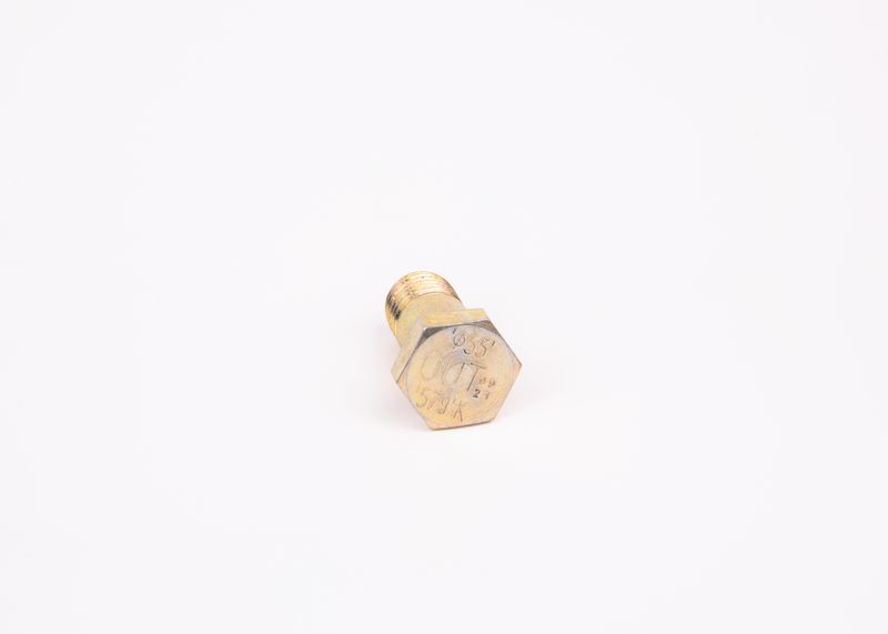 Surub F 002 D13 579 BOSCH