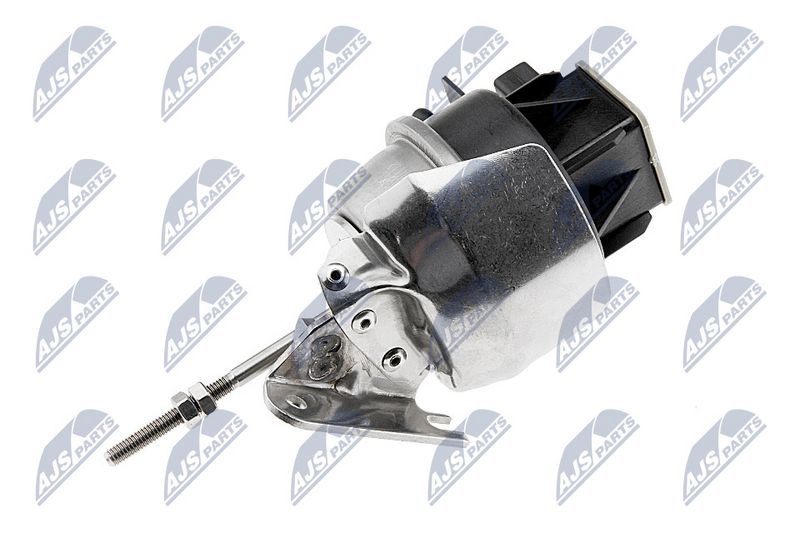 ecd-vw-009_2-wm.JPG