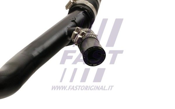 FT61562_5_1.JPG