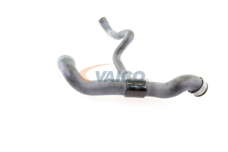 VAICO V30-1660 Radiator Hose