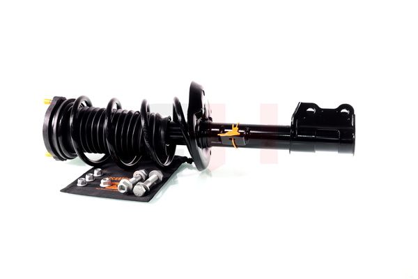 Vedruamort, GH GH-352388C01