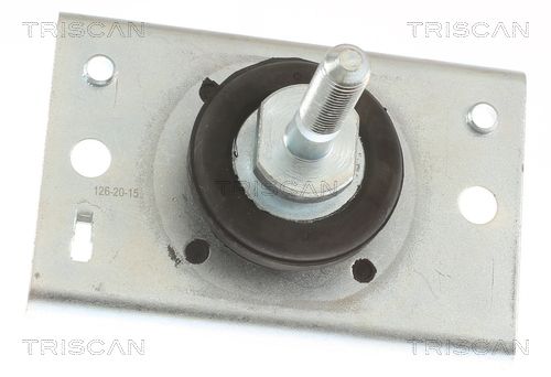 TRISCAN felfüggesztés, motor 8505 10116