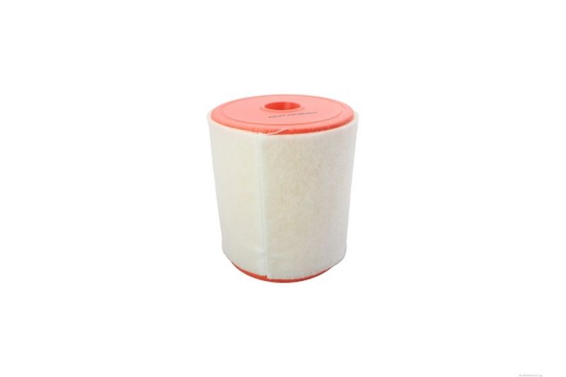 AUTOMEGA 180028010 Air Filter