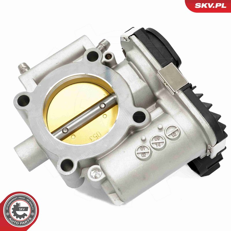 ESEN SKV 12SKV128 Throttle Body