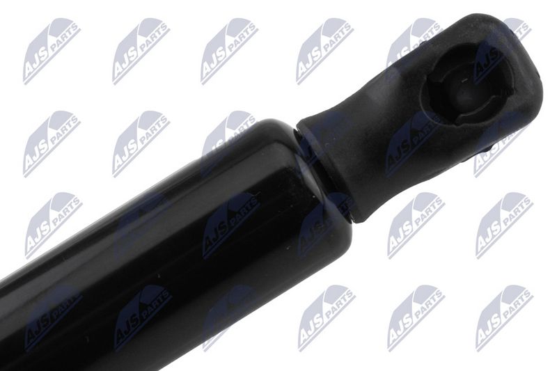 NTY AE-BM-155 Gas Spring, boot/cargo area