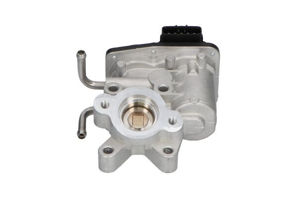 KAVO PARTS EGR-klep EEG-8003