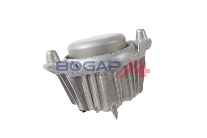 BOGAP Variklio montavimas