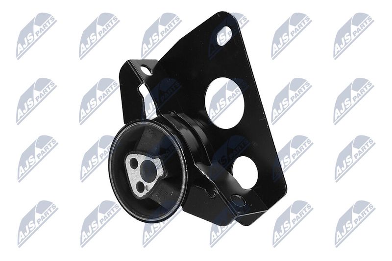 Paigutus, Mootor, NTY ZPS-DW-007