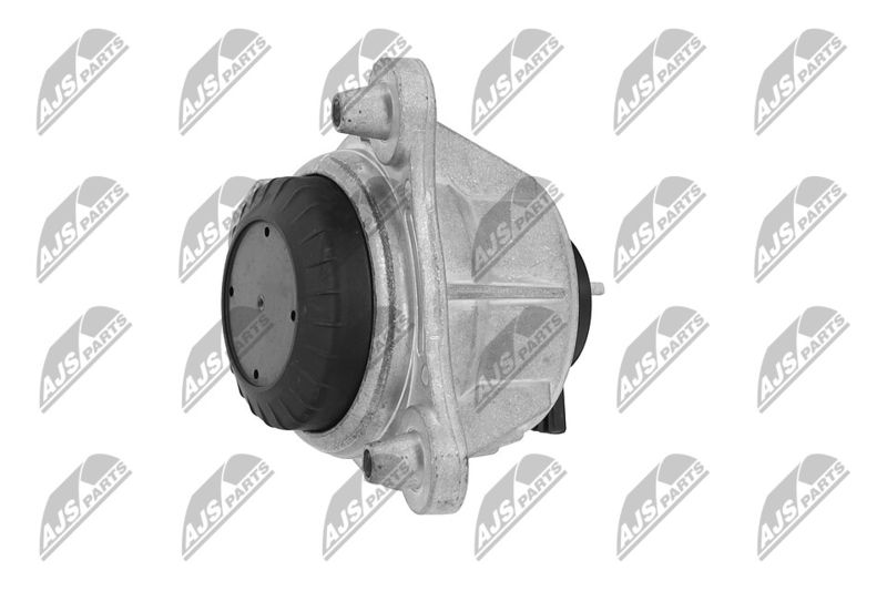 Paigutus, Mootor, NTY ZPS-ME-066