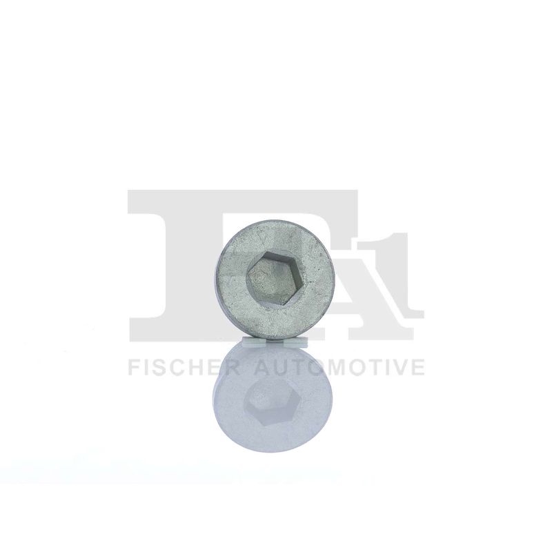 FA1 257.858.001 Screw Plug, oil sump