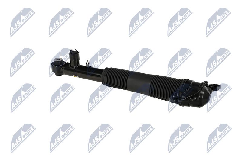 Amort, NTY A-LR-037