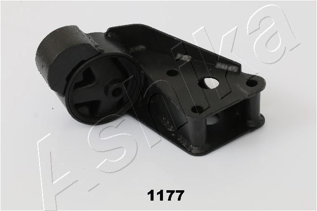 GOM-1177_1.JPG