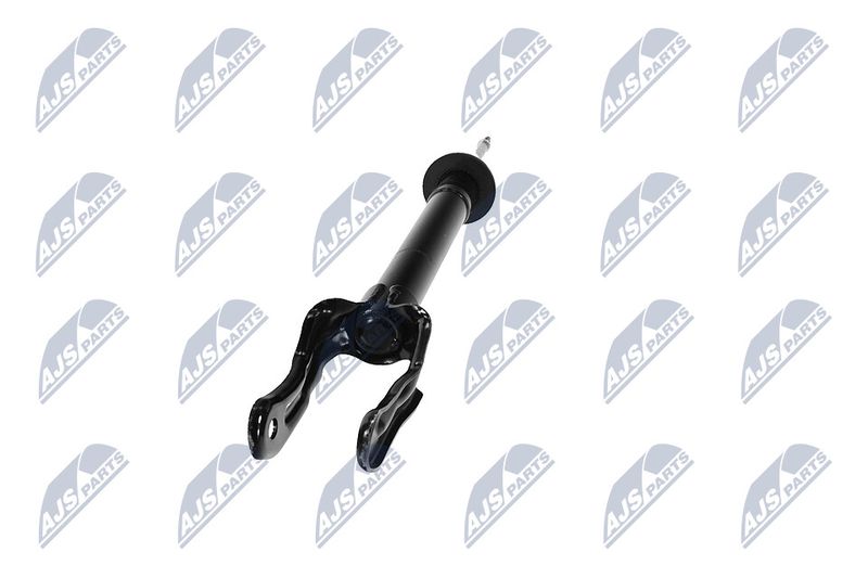 Amort, NTY A-CH-079