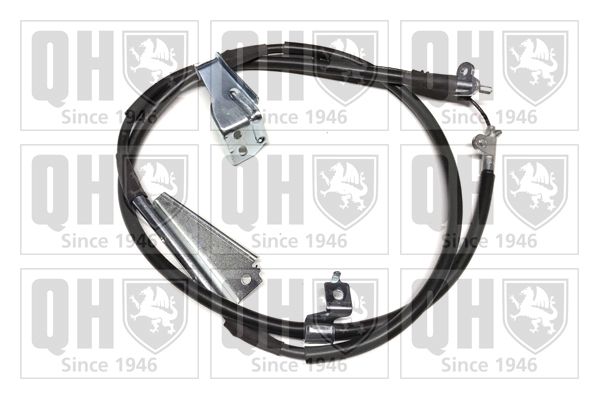 QH_BC4242.JPG