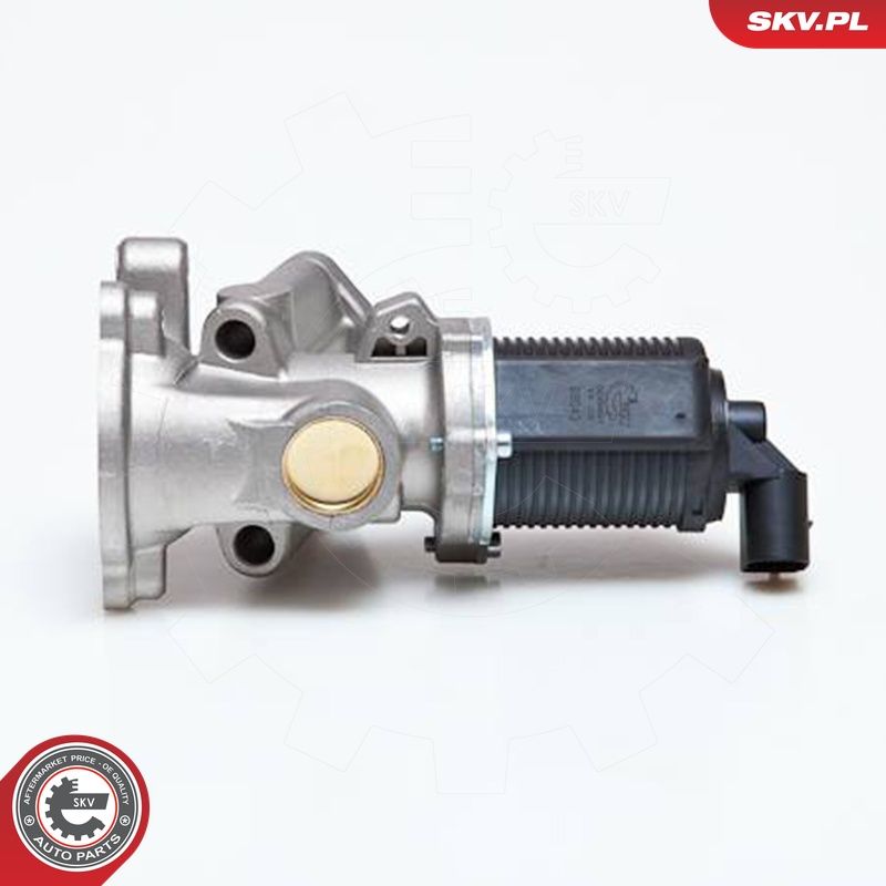 EGR-klapp, ESEN SKV 14SKV014