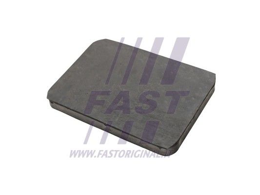 FT13203_2_1.JPG