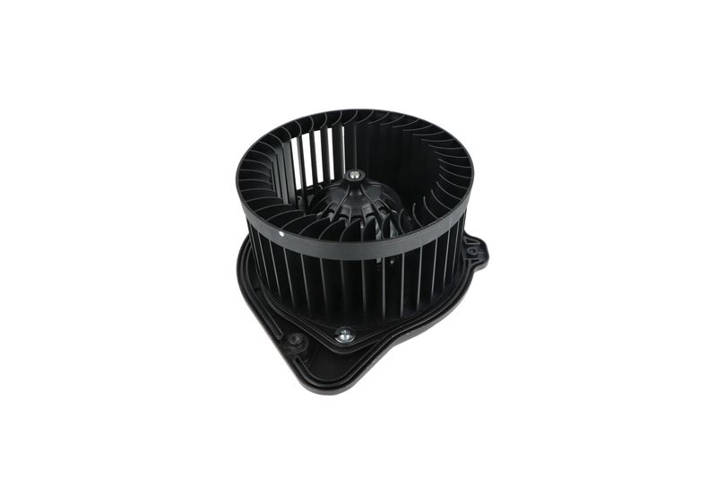 Salongipuhur, NRF 34136