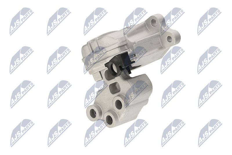 Paigutus, Mootor, NTY ZPS-CH-133