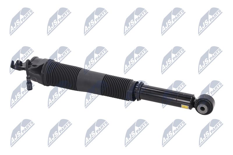 Amort, NTY A-LR-022