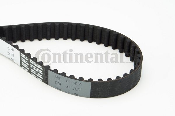 BELTPIC_CT589.JPG