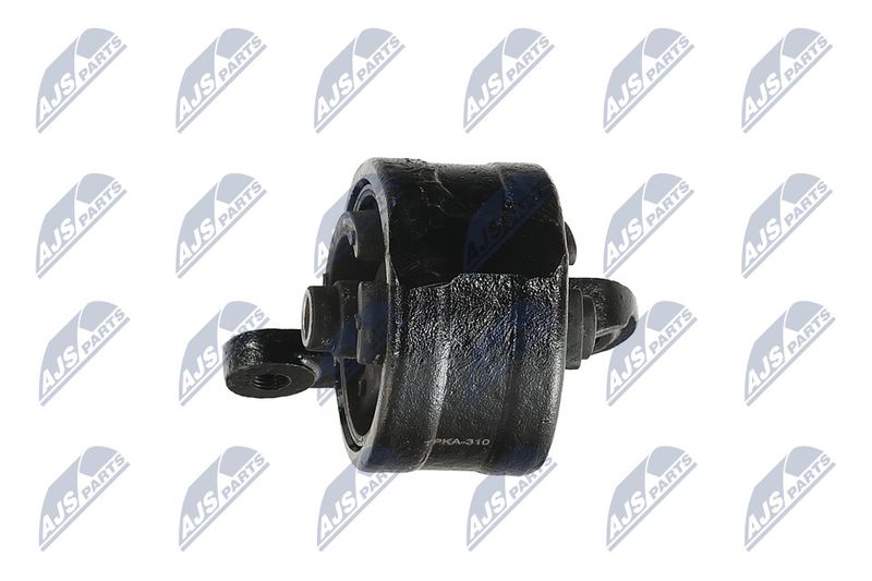 Paigutus, Mootor, NTY ZPS-KA-310