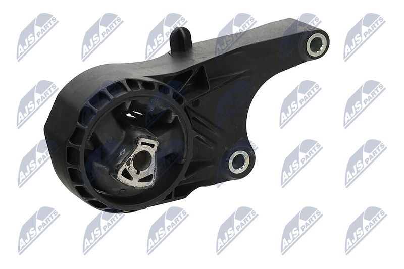 Paigutus, Mootor, NTY ZPS-PL-023