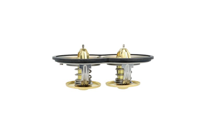Termostat, chladivo 725374