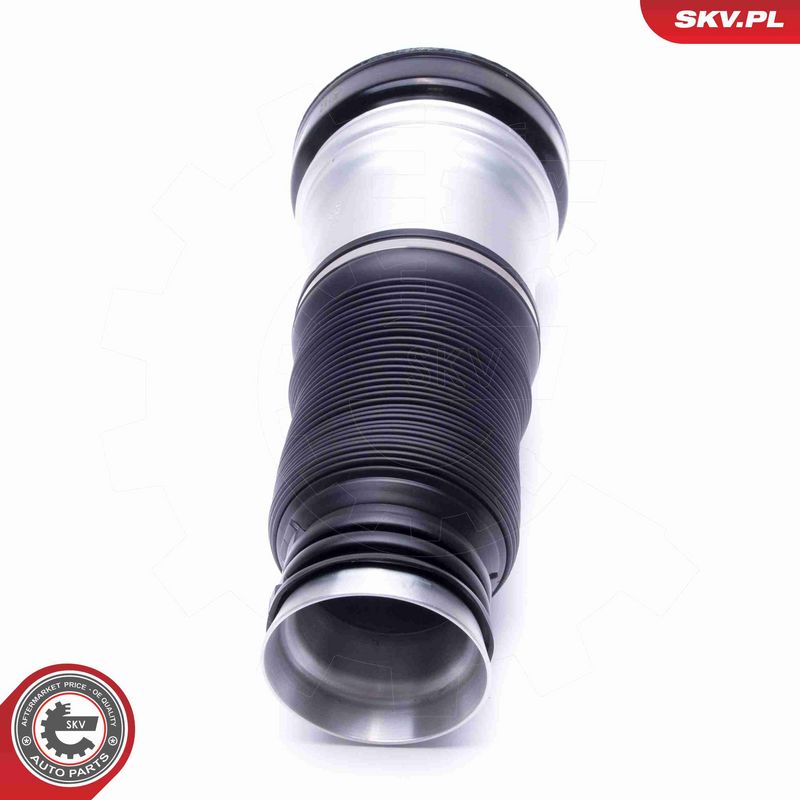 ESEN SKV 58SKV065 Air Suspension Strut