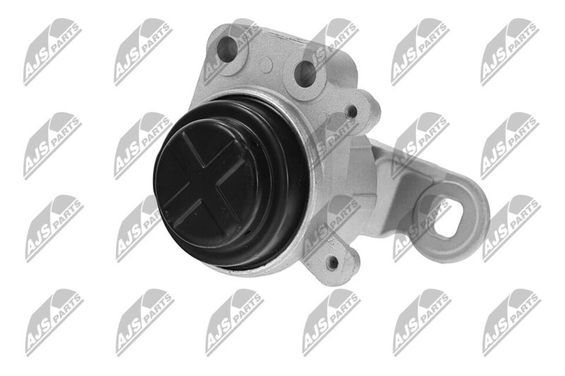 Paigutus, Mootor, NTY ZPS-FR-044