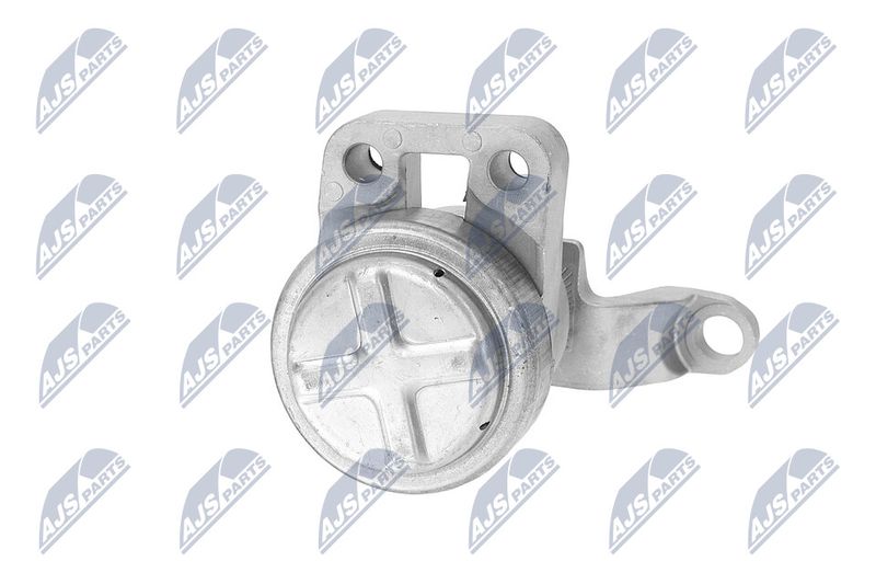 Paigutus, Mootor, NTY ZPS-FR-033