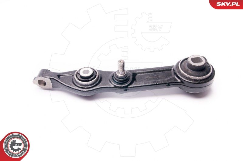 ESEN SKV 04SKV300 Repair Kit, control arm