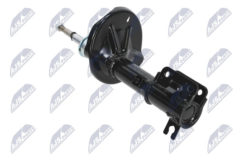 Amort, NTY A-CH-052
